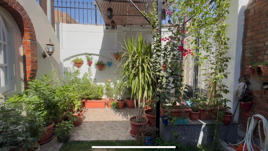 Lilys Garden Guest House