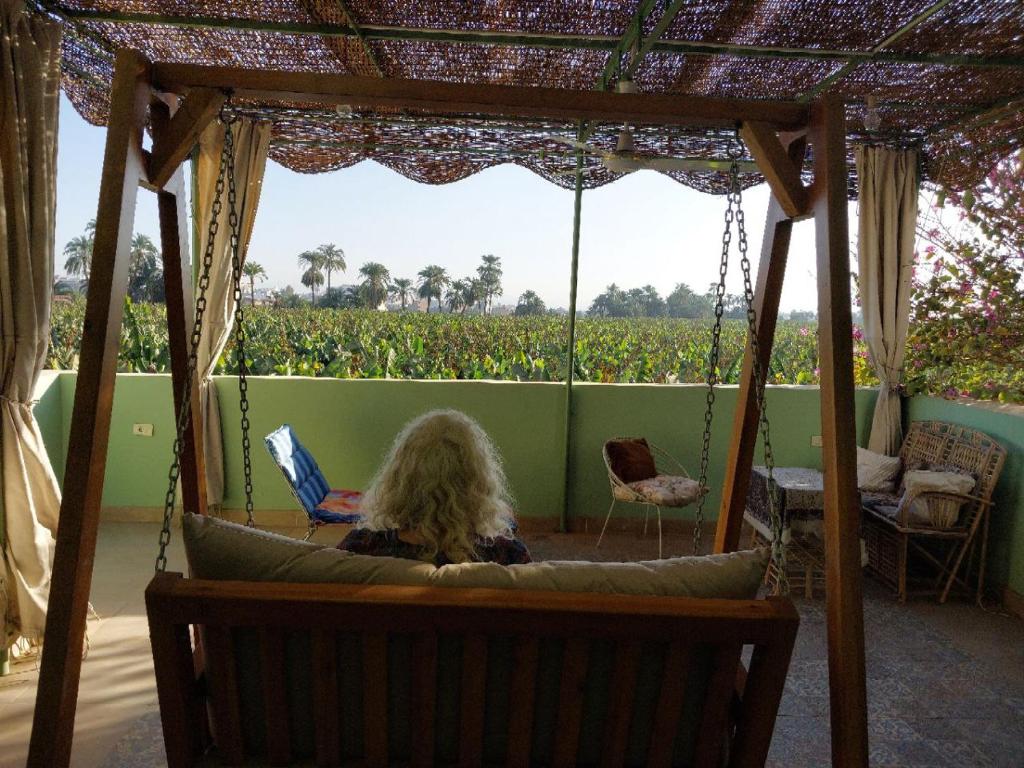 Luxor Experience Guest House