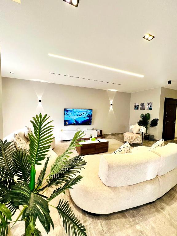 Luxury apartment
