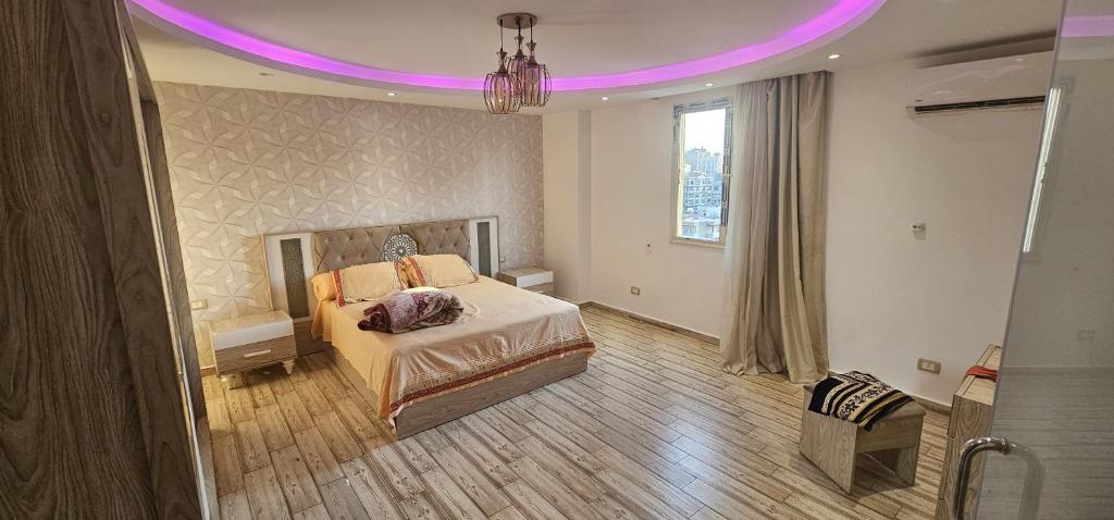 Madinet Nasr Flat