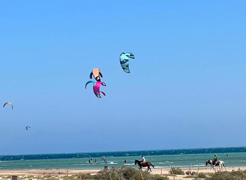 Mangroovy Gouna 1 BR apartment