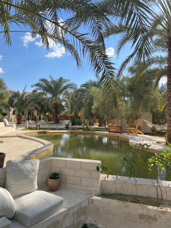 Meddur Siwa Oasis