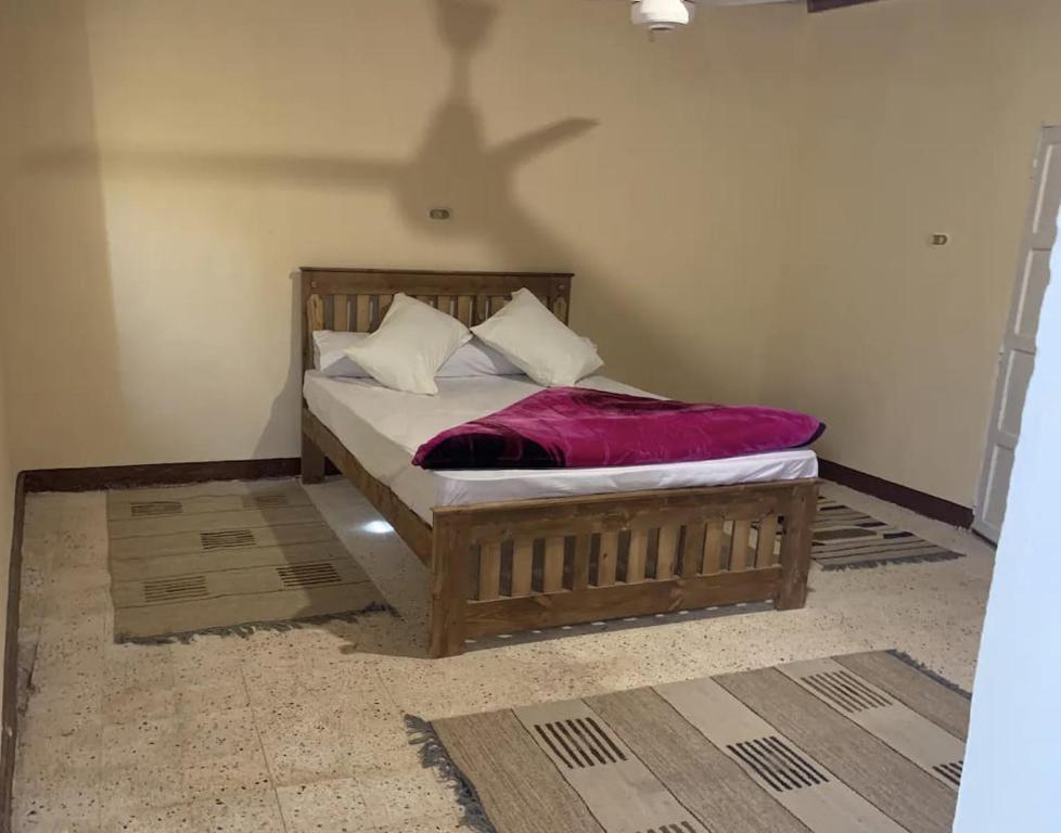 Monica Camp Siwa مونيكا كامب سيوة