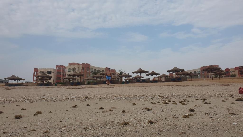 امواج عيون