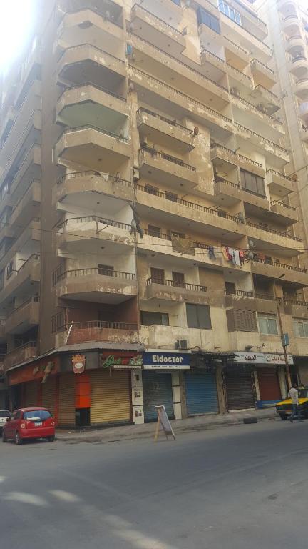 ميامي جلوبال