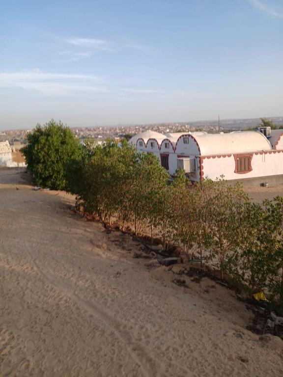 Nuba