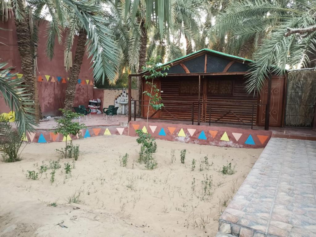 Omar Oasis