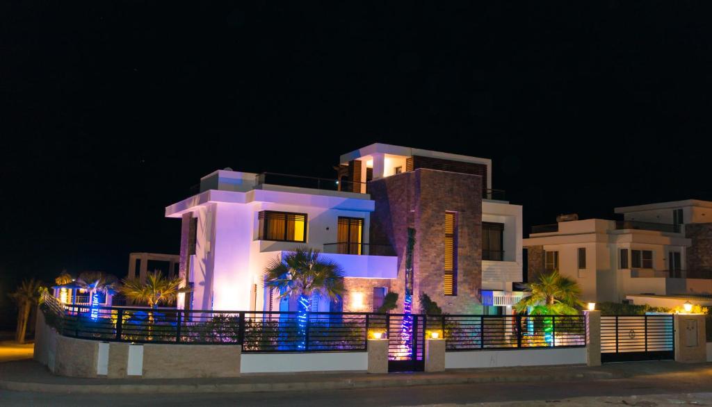 Palmen Villa
