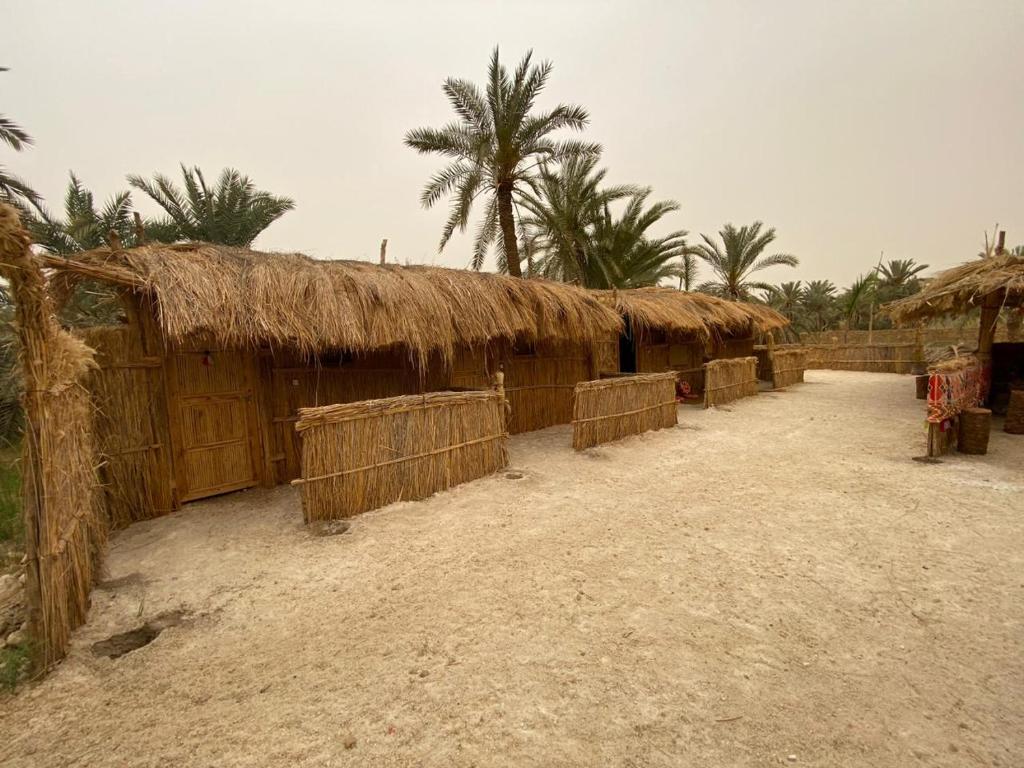 Paloma Camp