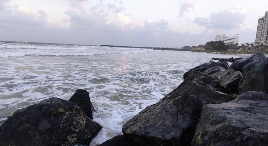 NICE Room in Sea View Apartment with Shared Amenities - ROOM INSIDE APARTMENT