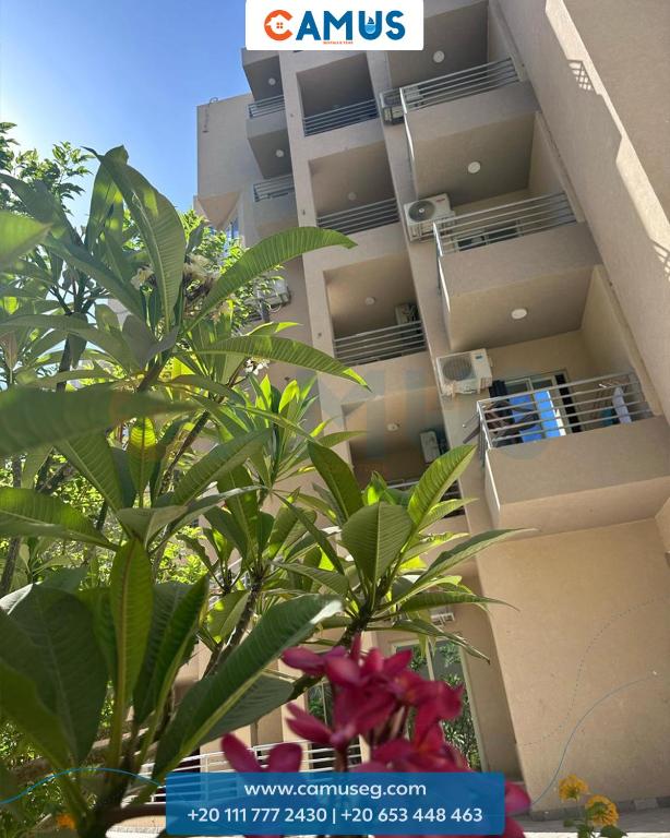 Princess Resort 457 B