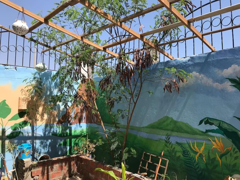 Private house for rent