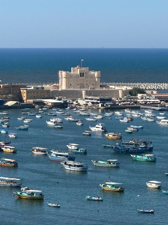 Qaitbay Citadel View