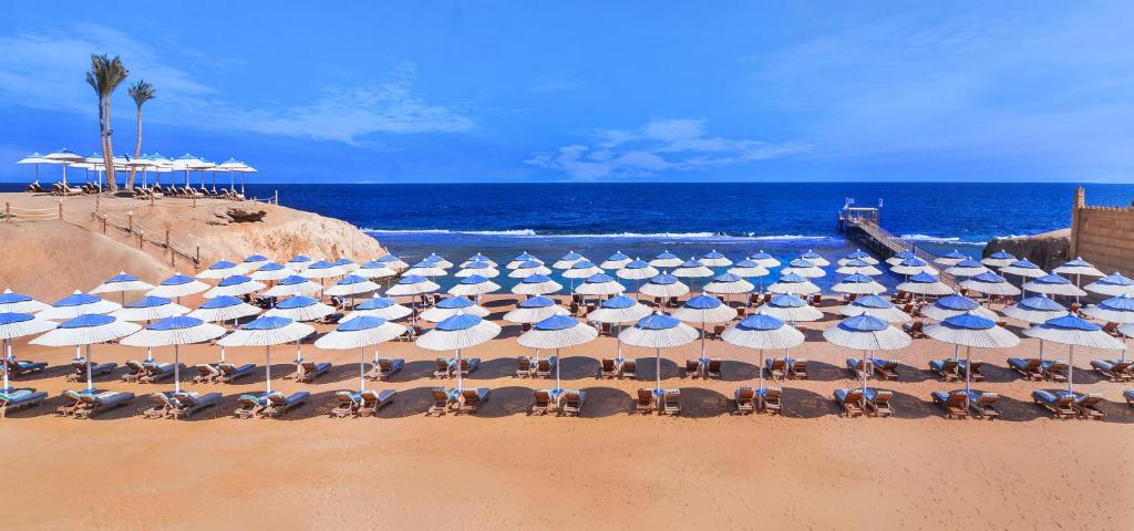 JAZ Neo Reef Marsa