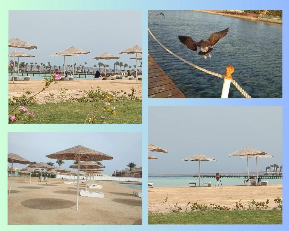 Scandic Resort: Comfy & Cozy. A433