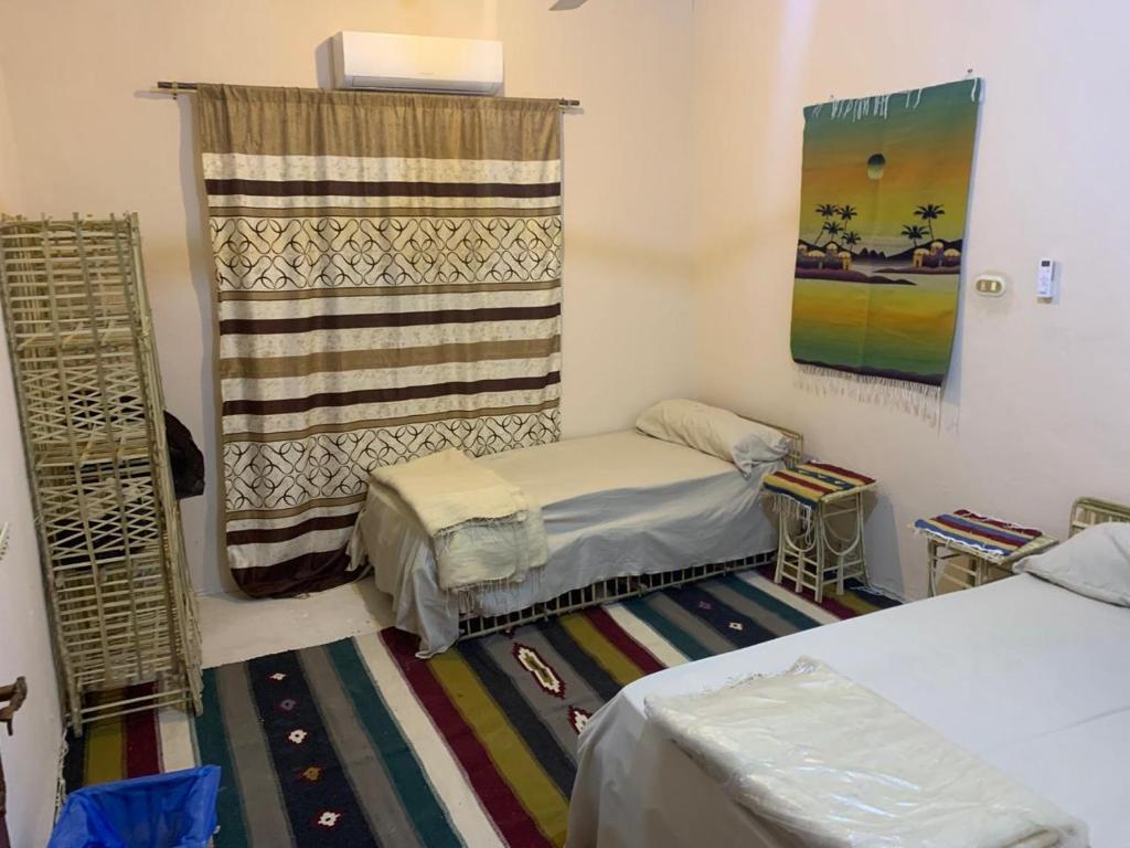 Shahd Siwa