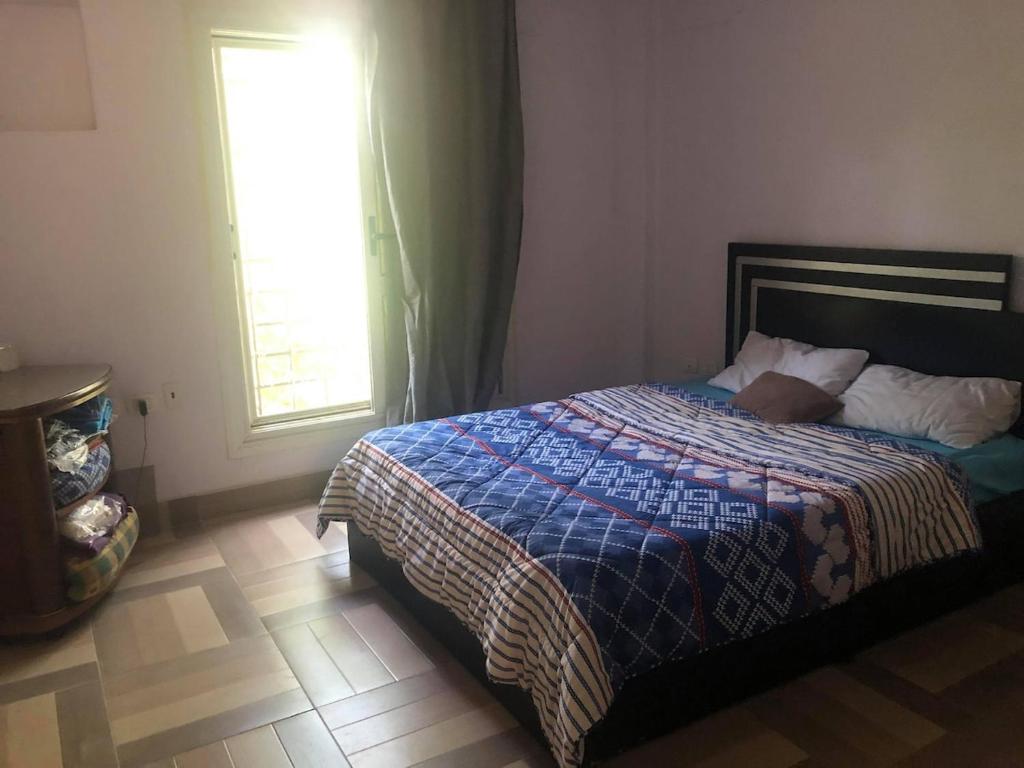 Shared Appartment