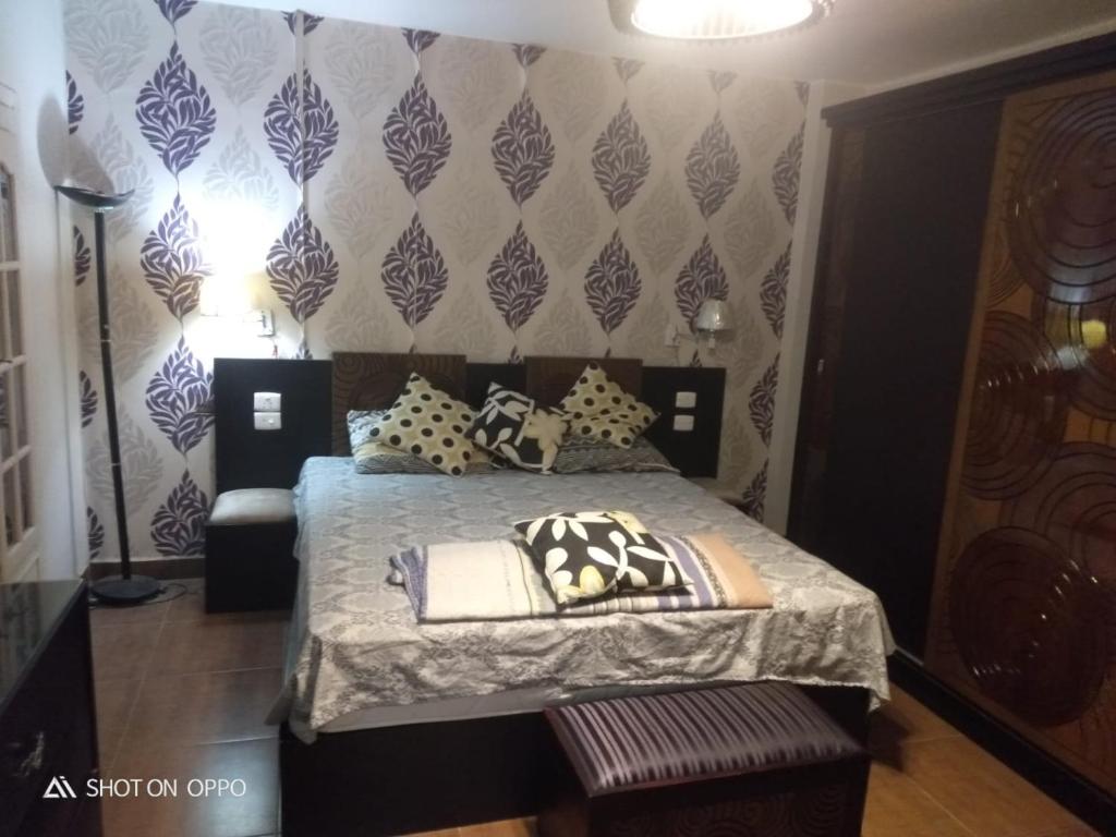 Sheikh zayed Beautiful Apartment located in prime location