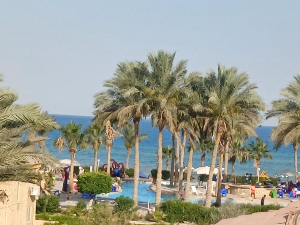 شاليه ستوديو