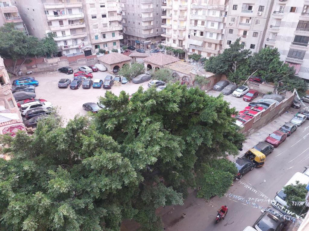 شقة مفروشة للايجار في خالد بن الوليد الإسكندرية