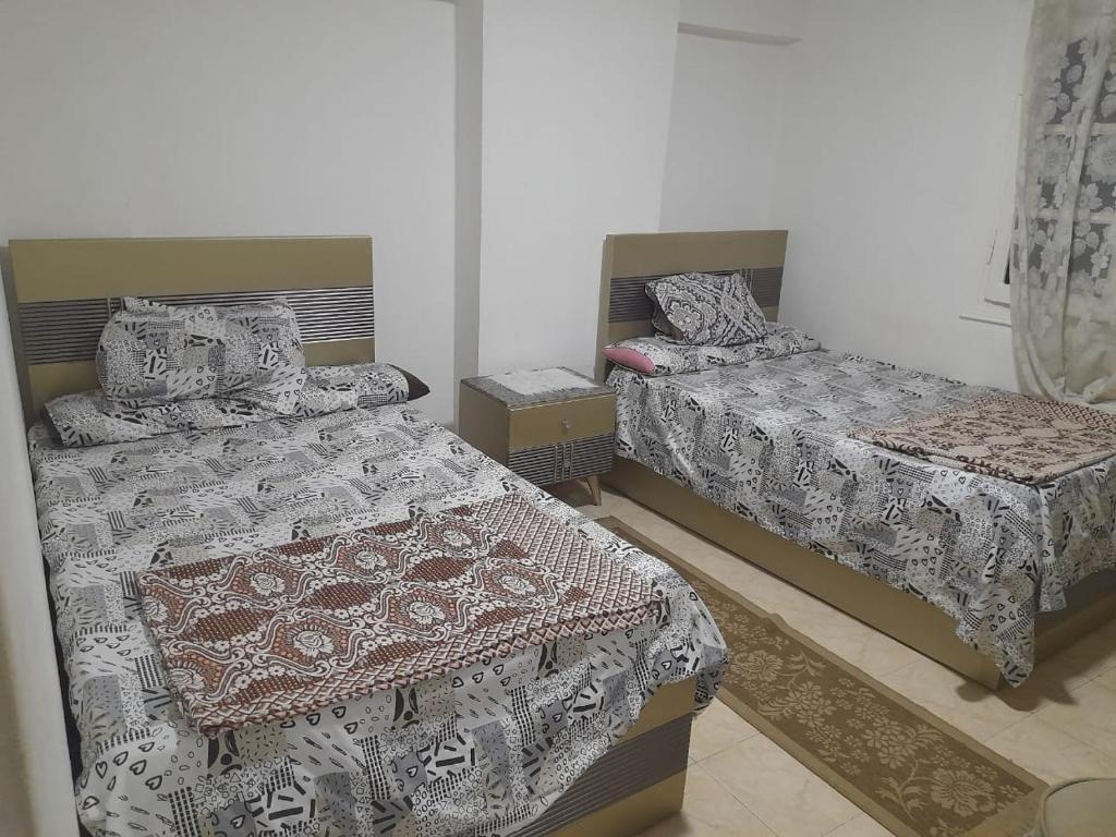 شقة مفروشة لقضاء صيف مميز في الإسكندرية عائلات فقط Seaside Dream Apartment Miami Area Families Only