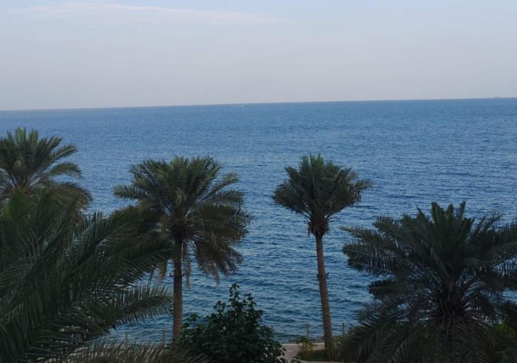 AU 79 CODE - Address Beach Resort Fujairah - Apartments