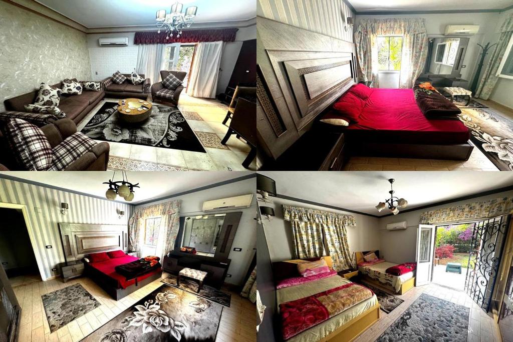 Relaxing Stay in Al Mamoura & Garden & Fast Wi-Fi