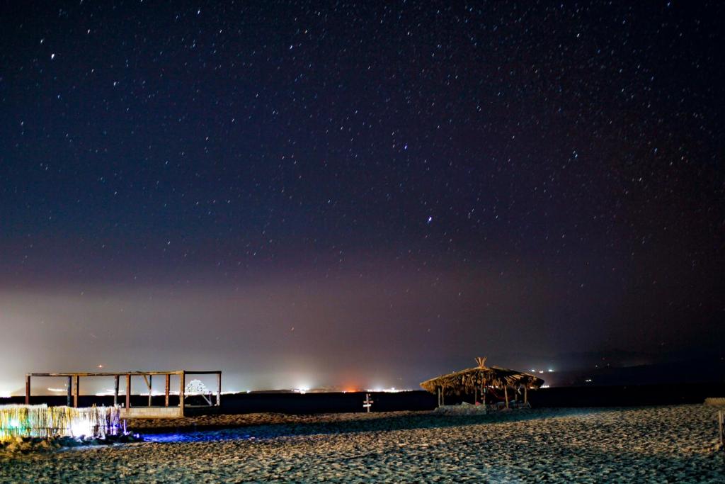 Spicy Beach Camp