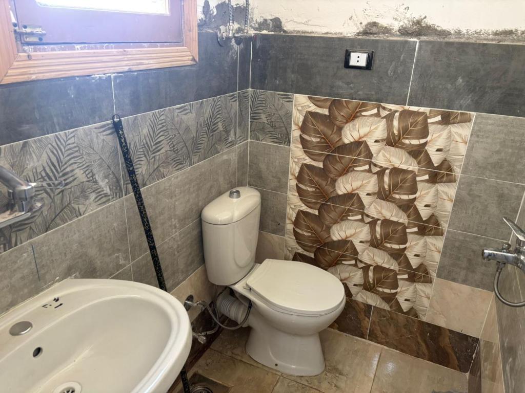 استديو غرفه بسيدى عبد الرحمن