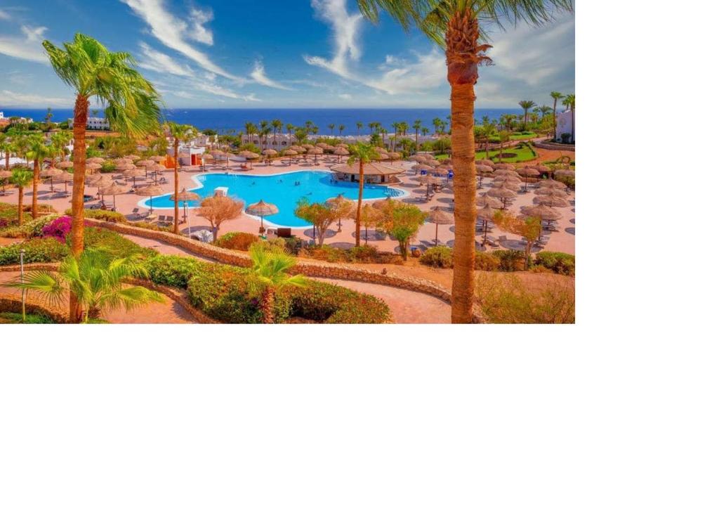 Domina Coral Bay Pool & Sea View Studio with Kitchenette