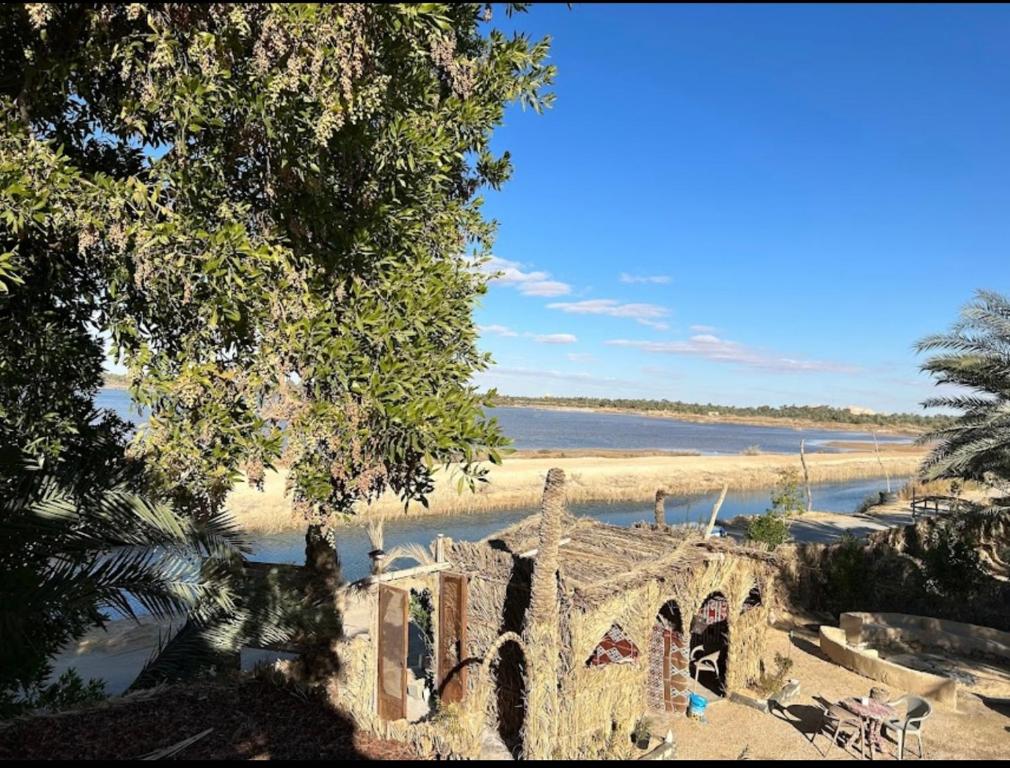 Sunset Tree Camp