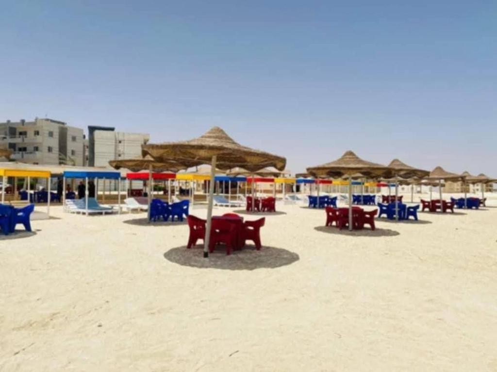 تاهيتي مطروح