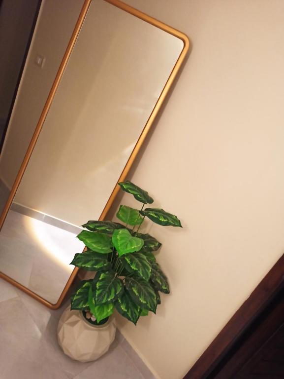 Unique Apartment by the sea, between Hilton and four seasons in the heart of Alexandria, no view