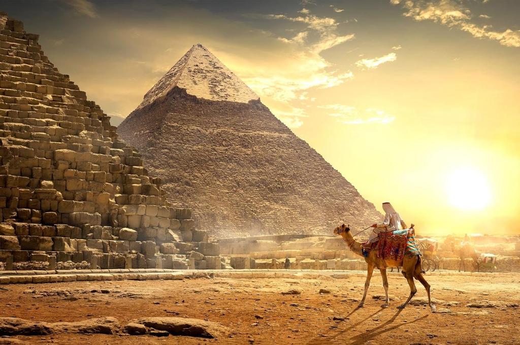 شقق فرساي الفندقيه